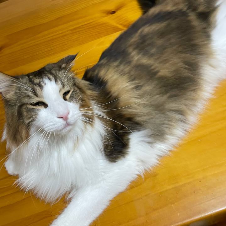 F0d5787c ae59 49d6 a43d c8e2fc8fe53d 1702235682182