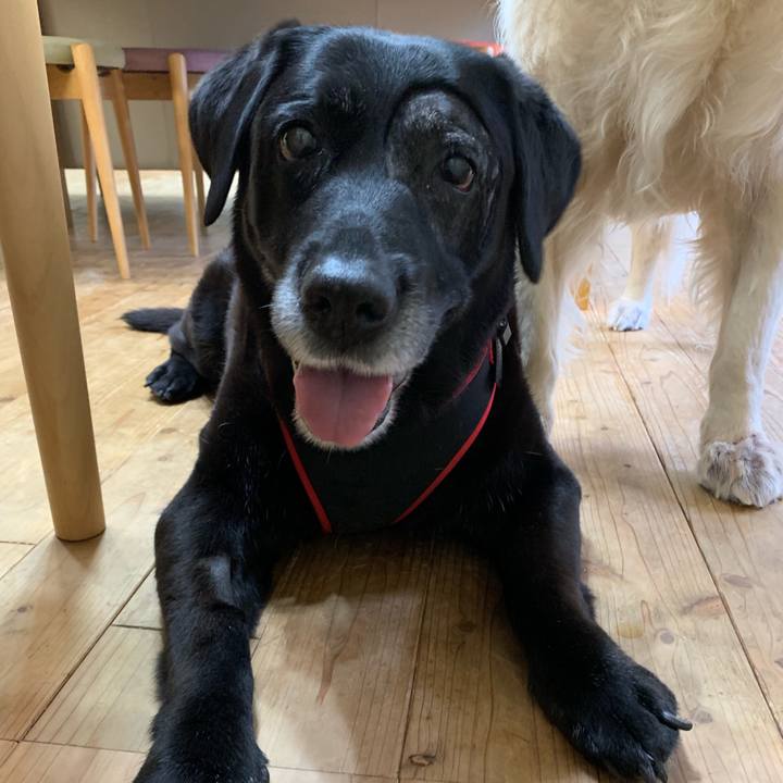 F0d58468 0e57 4f46 98b2 58a3923fd44e 1570837091796