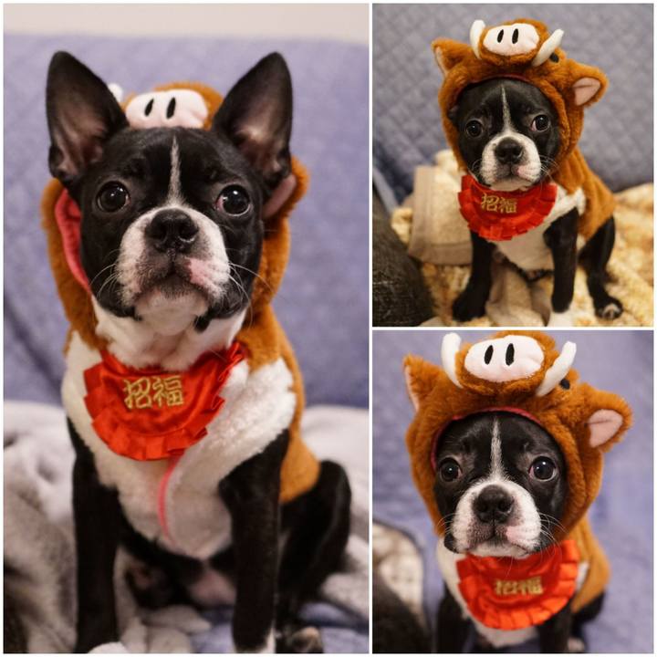 F0d5979d a5f4 41aa a125 0590006c1777 1546297246303