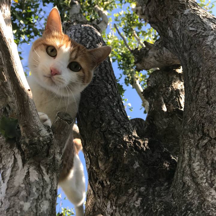 F0d59faf 4295 4d8c 89fd 16433b71fa39 1508289475389