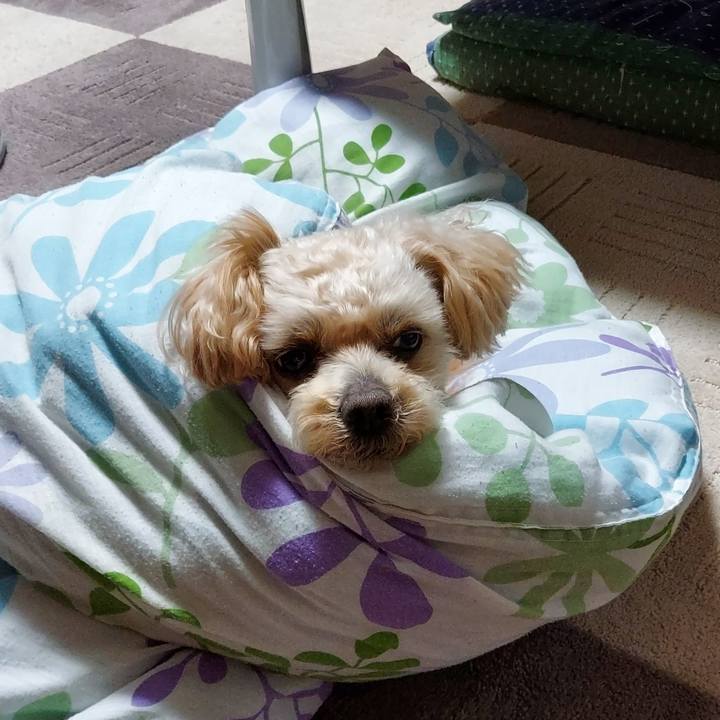 F0d5f957 bf64 4889 956f 0e1780498db0 1650292867375