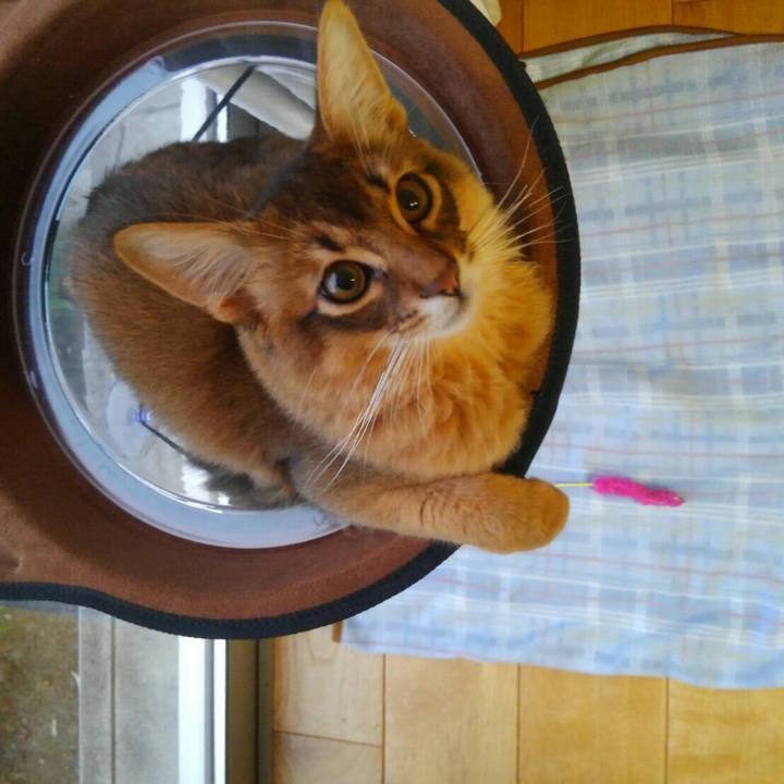 F0d650ba 1090 4c6c a2a7 9873a51c128f 1580083703546