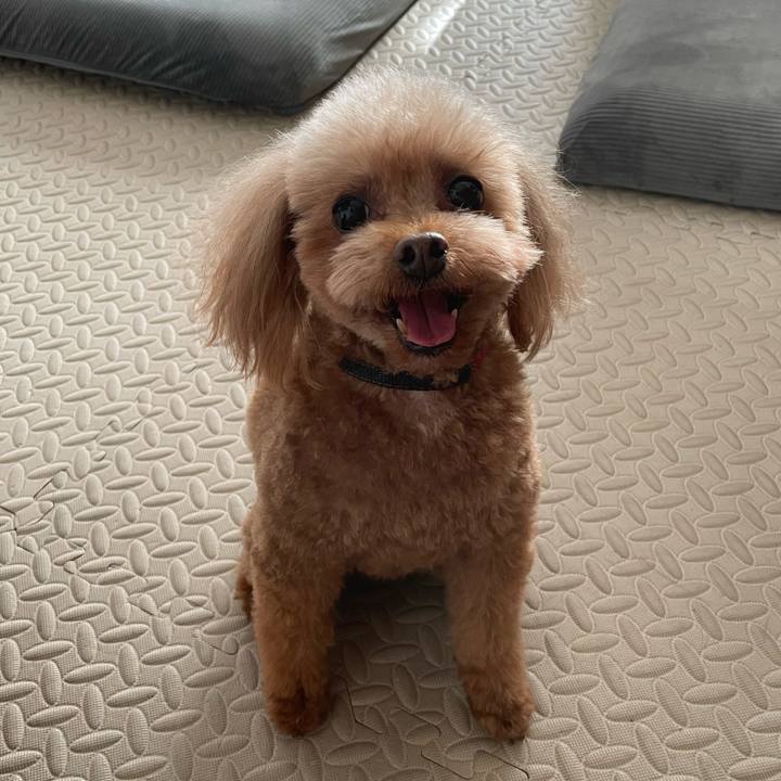 F0d6556e 0ebc 4aaf aea6 2be7a52c589f 1739079004854