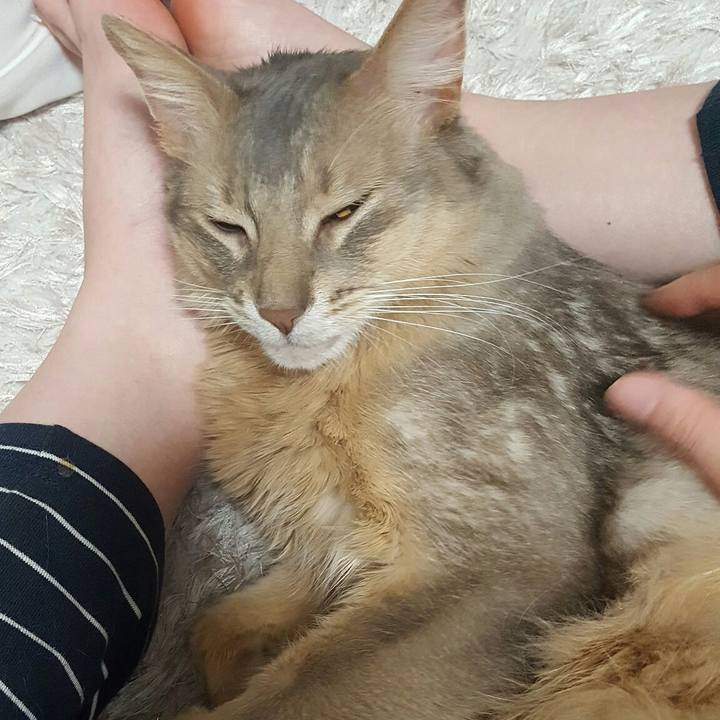 F0d657bc ae37 4fc5 8a9b ab42063e2e9a 1556192670883