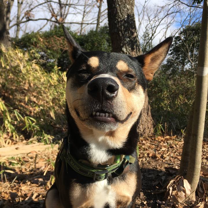 F0d662f1 125e 43b7 a643 ff0835f9b344 1546585010775