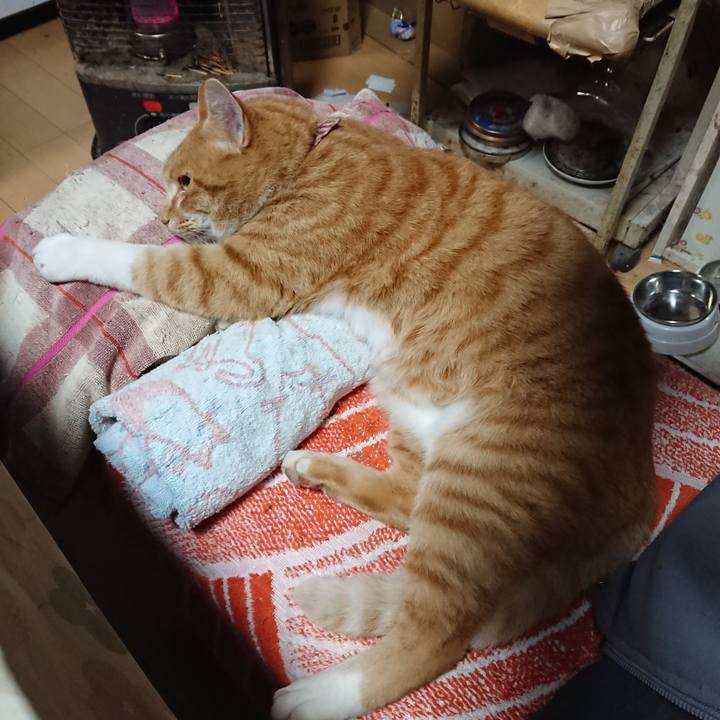 F0d67080 05a9 4f6b 8179 ca990d28a4e6 1606428208083