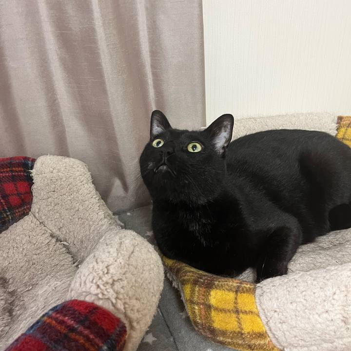 F0d6ae1f e413 4ad1 a596 a4f7c63b16f3 1716383383761