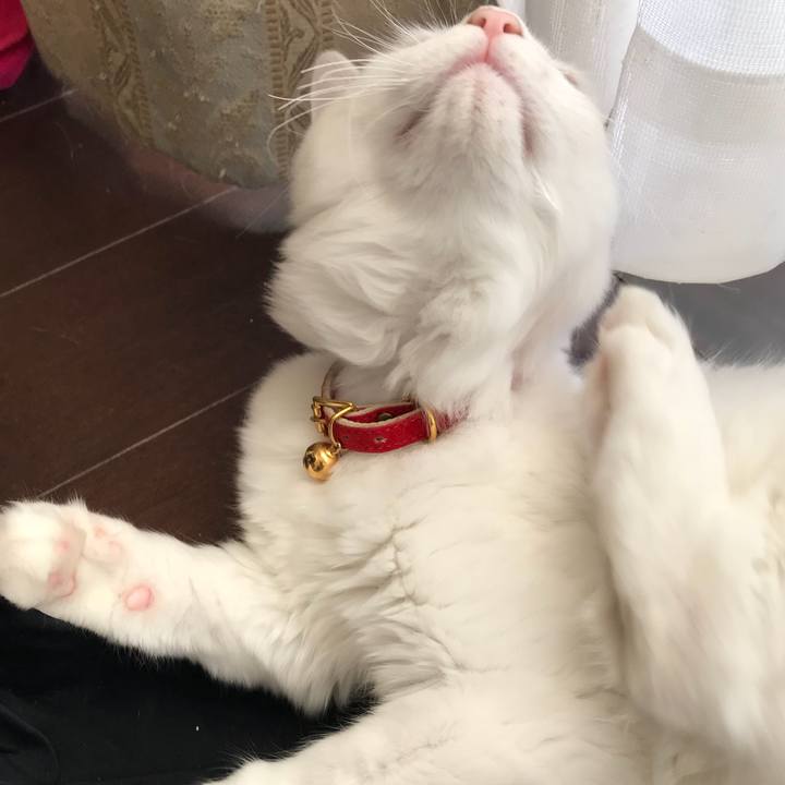 F0d6b17f a809 48d6 9054 d4f0fd9b46ab 1513308063040