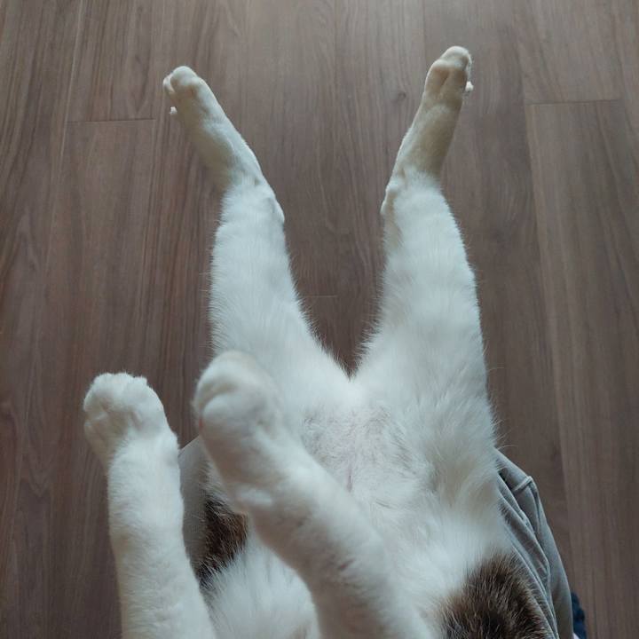 F0d6bf6c eedd 46b6 abb9 1d15cccbd4da 1771653767475