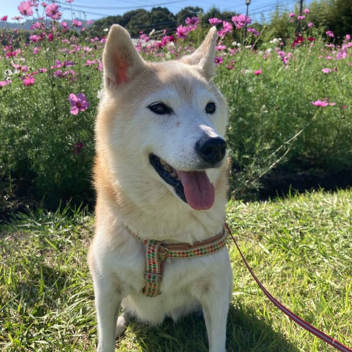 F0d6c45d de08 452c b6c5 64515fea515c 1698939174773