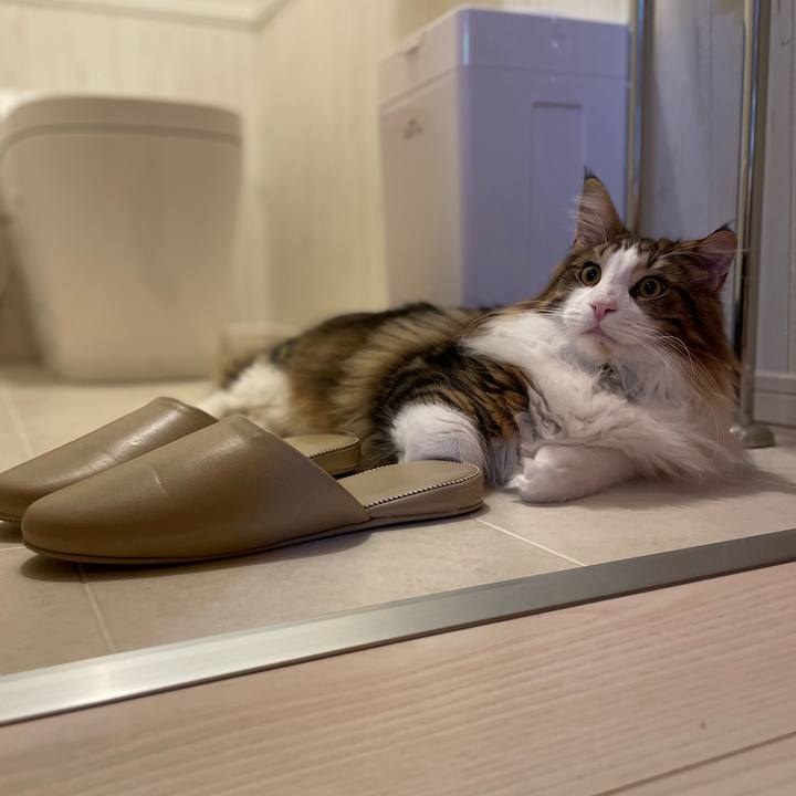 F0d6c6d8 9dcc 40f0 9bda cadc5b7578fb 1643031739821