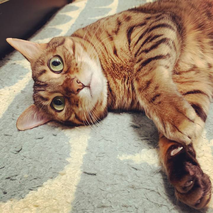 F0d7027f 8f9b 4e9b 8402 55c66c203d17 1591825375273