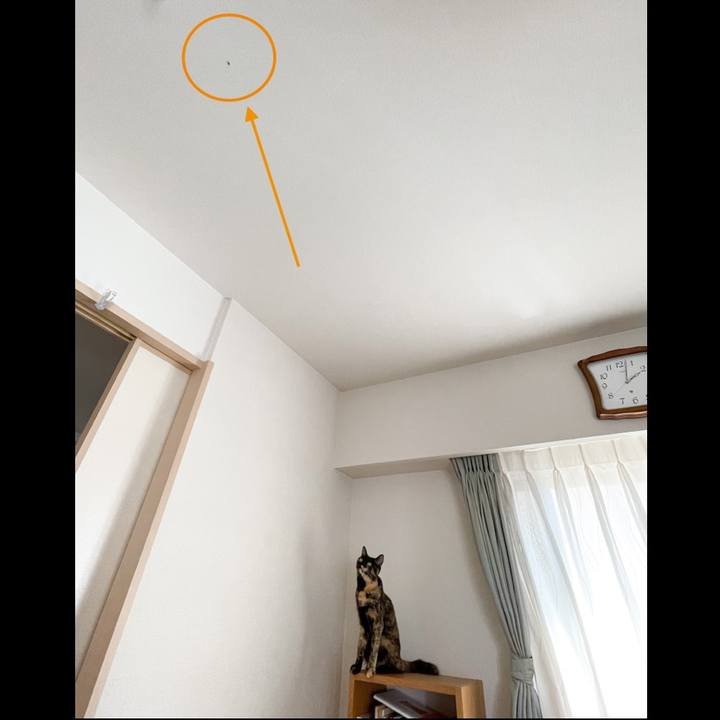 F0d723e4 8d91 4584 b84c fc87fc36c50f 1662874148704