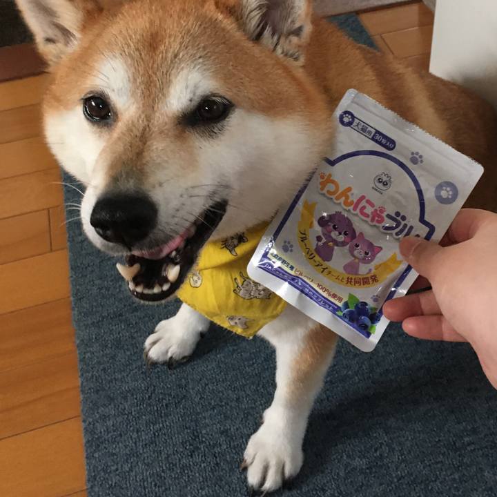 F0d75a59 8aa6 4b05 9d1a bf1367d28d41 1631513689976