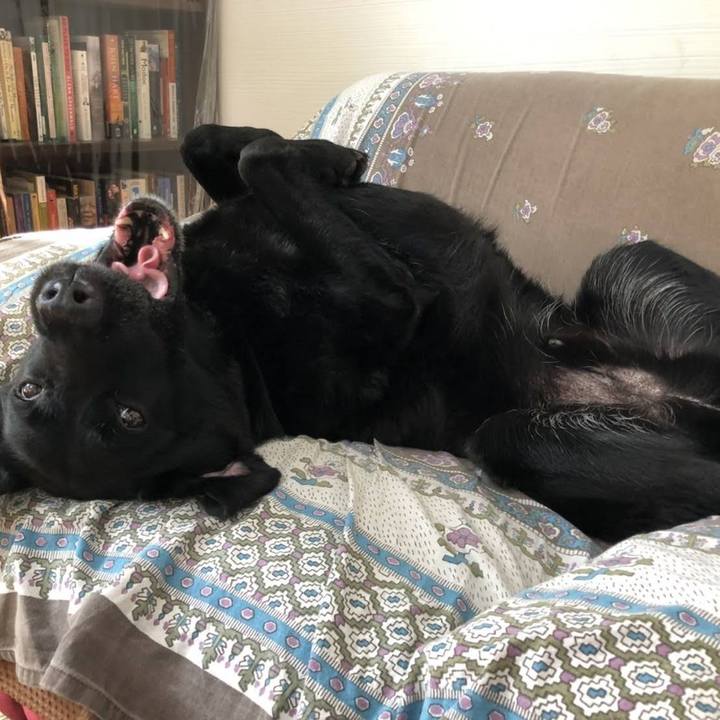 F0d76ba6 5d48 49a7 bda2 82b2e9338b26 1691806427965