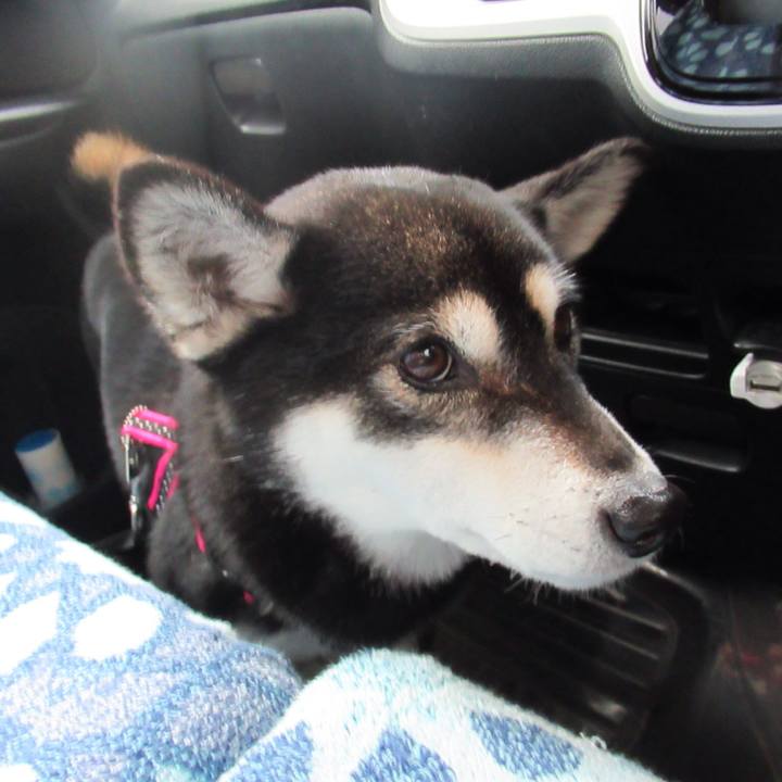 F0d78e48 09cd 461c af85 a7a99ba61326 1578106359534