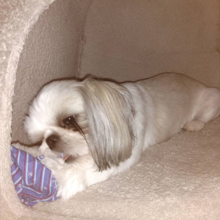 F0d79d13 aed3 4be2 ba62 4d0c21993953 1568115563076