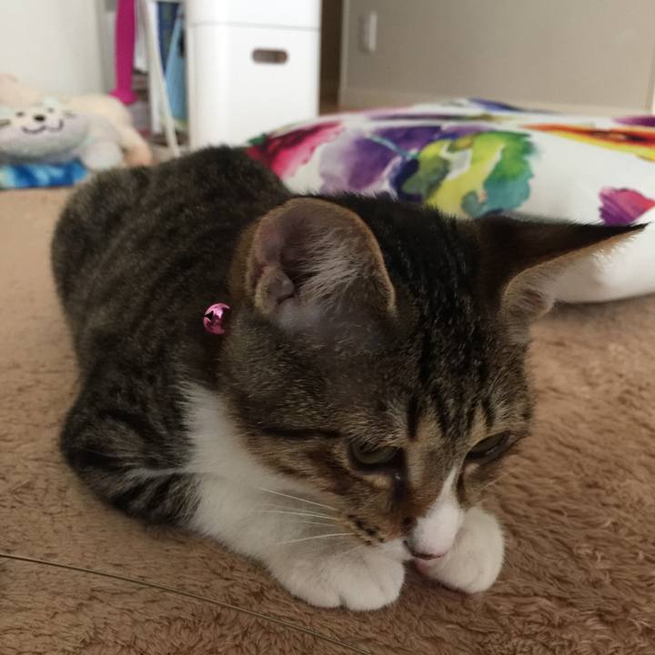 F0d7b8ac 5f68 4761 90fd 781da5ea3ae1 1538322963302