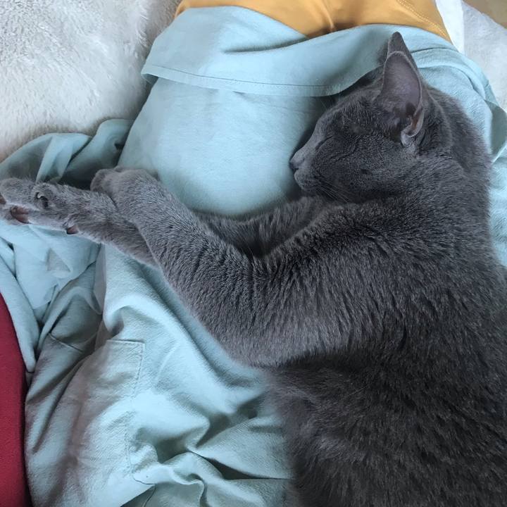 F0d7be3d 50d4 4cd2 bf7d 574f1a31c09f 1621142659227