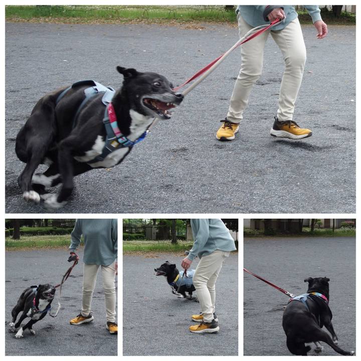 F0d7fe36 04ba 4dc3 99bf 40e653ac1a31 1745626345805