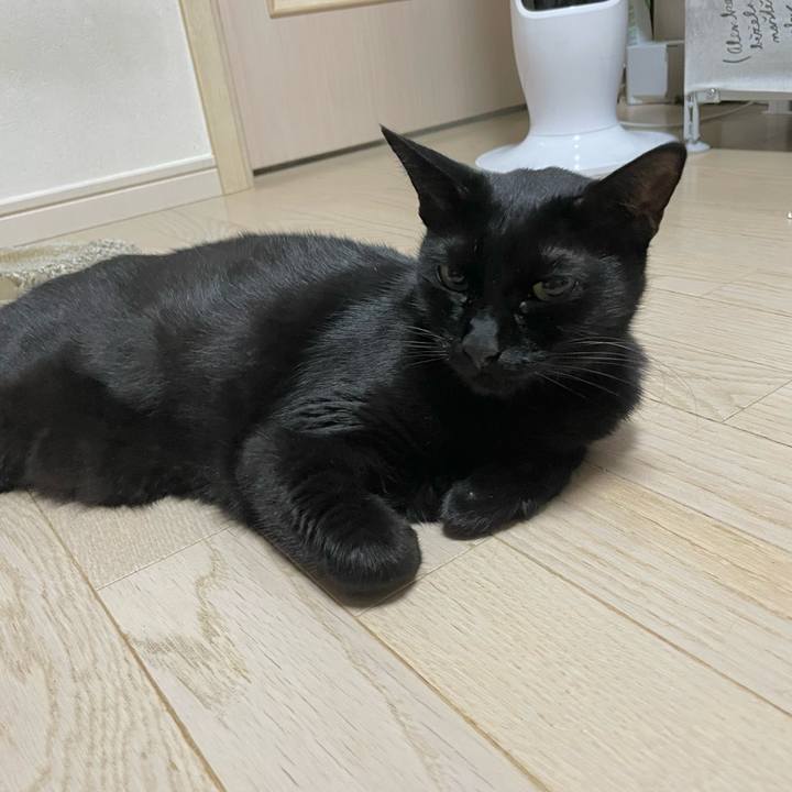 F0d81266 2249 4d48 8b8f 9391e7884870 1757325776350