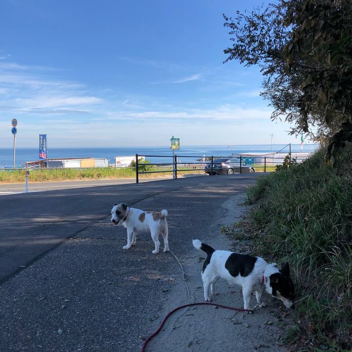 F0d81437 f2a6 49a5 9832 76224acdacd6 1534807833044