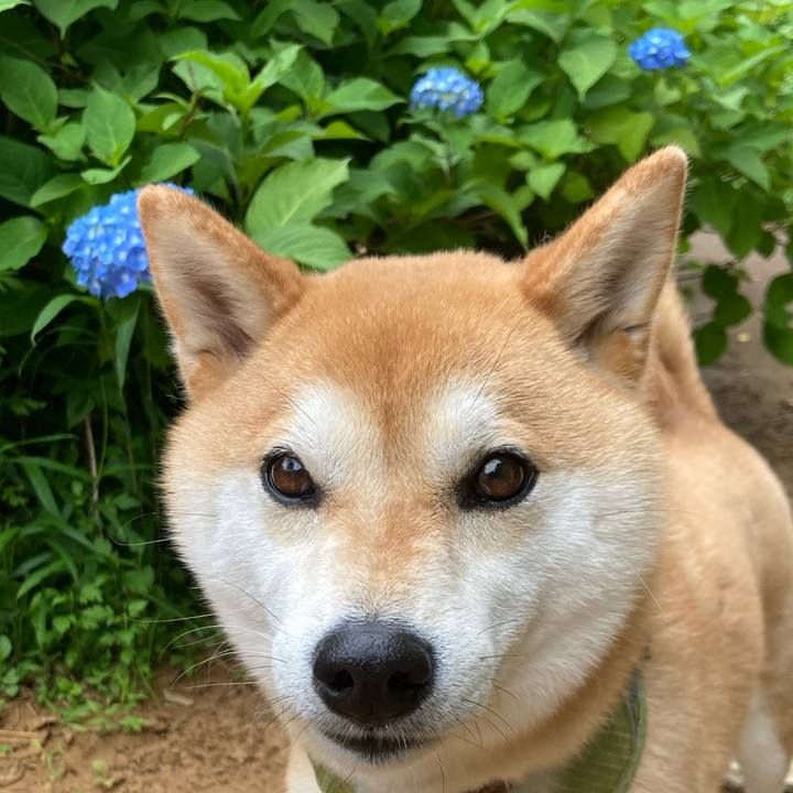 F0d8170b e646 4d51 9961 daca447a4520 1749349043837