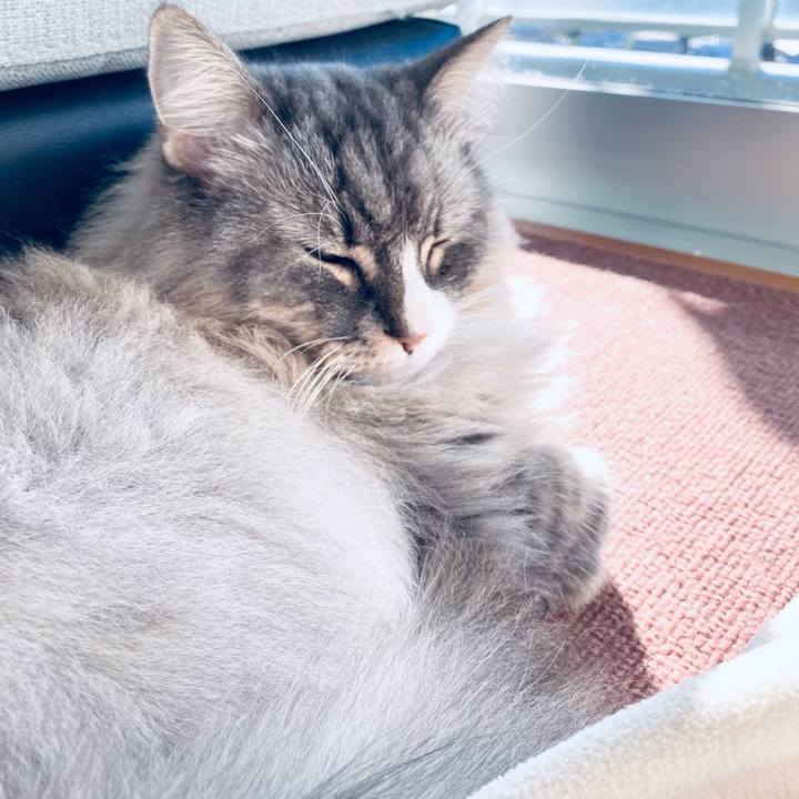 F0d822a9 6853 43fa 8222 8029dface0ae 1765512577515