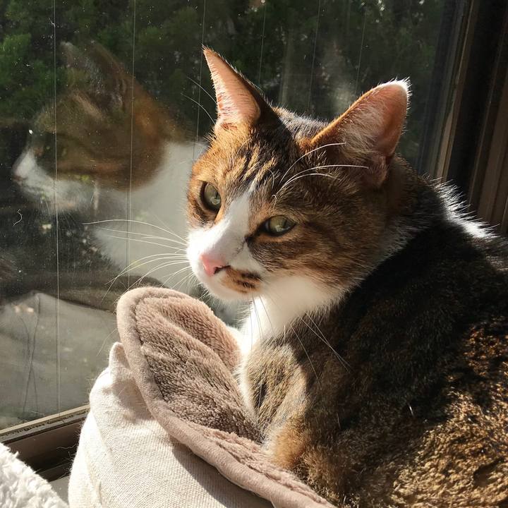 F0d83e78 409d 4929 87e9 ca337e819886 1511927630956