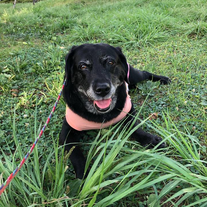 F0d84c36 e917 4271 9369 657b0ca7715d 1599119872316