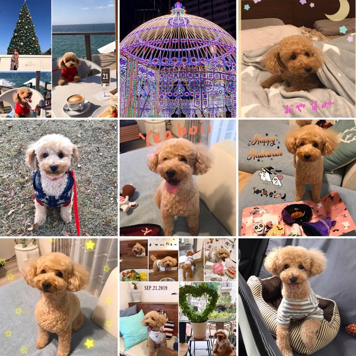 F0d8661a ecfe 44f6 9578 3c324a5bff3d 1577771288343