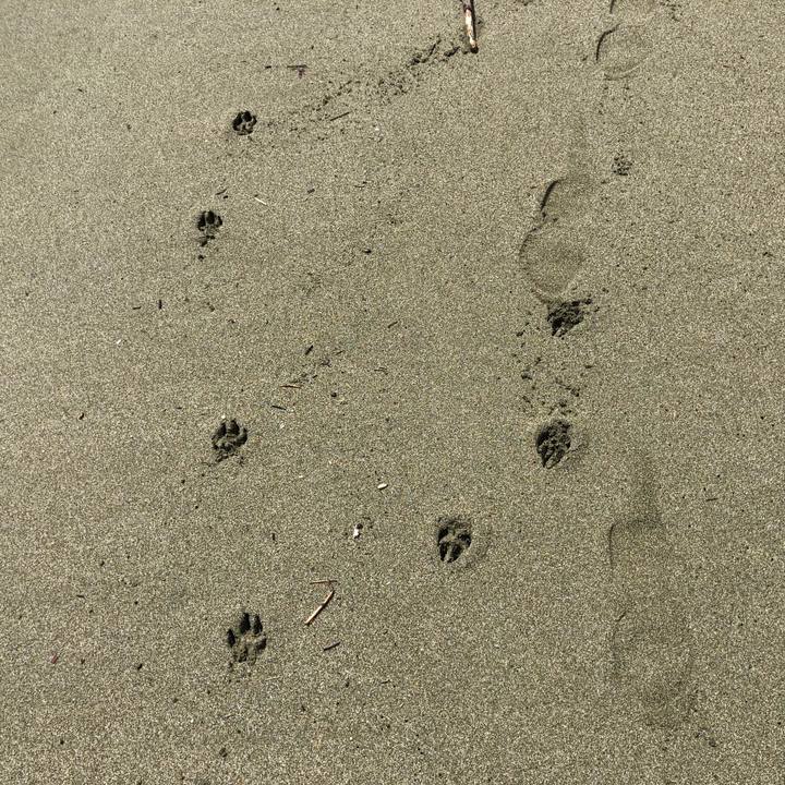 F0d88c7d 96b6 4d9b a166 f0a38b1dcfe8 1563107297259