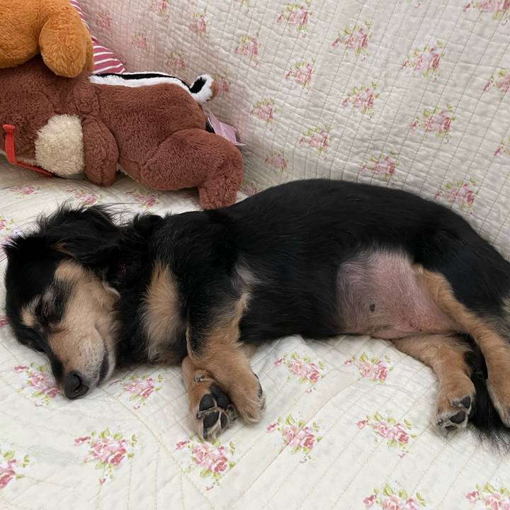 F0d8d8b5 46fa 4881 92e7 32700b95e333 1660643191819