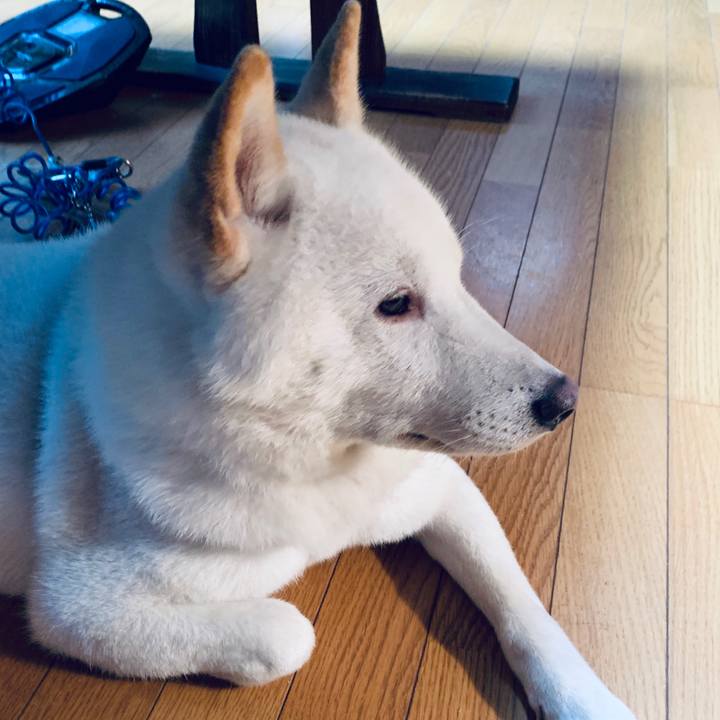 F0d901ee 85a6 4eb7 8b5d 0ae7e608698a 1565385429837