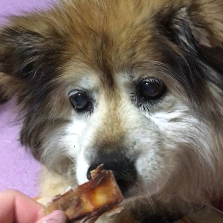 F0d9046c c20b 4841 a13c b4b7296d8d8a 1559306936136