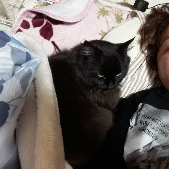 F0d912da e7f9 4e32 bb6c faf8ad6efbab 1523104922001