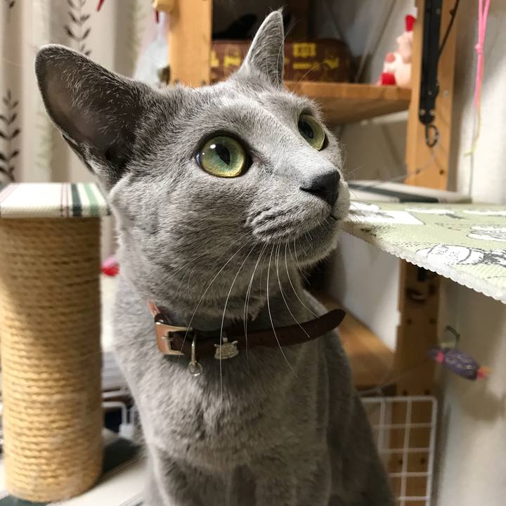 F0d91bcd 67af 40e3 b5e0 a880a33cb8ba 1536152057942