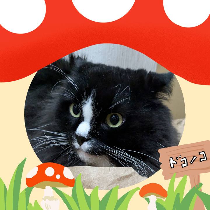 F0d92e36 372f 48e8 b79e 74a740f8d3fb 1729160804219