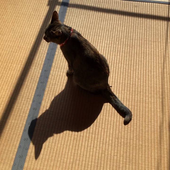 F0d94a29 b577 445c 9203 2094becd7f5a 1605238005814