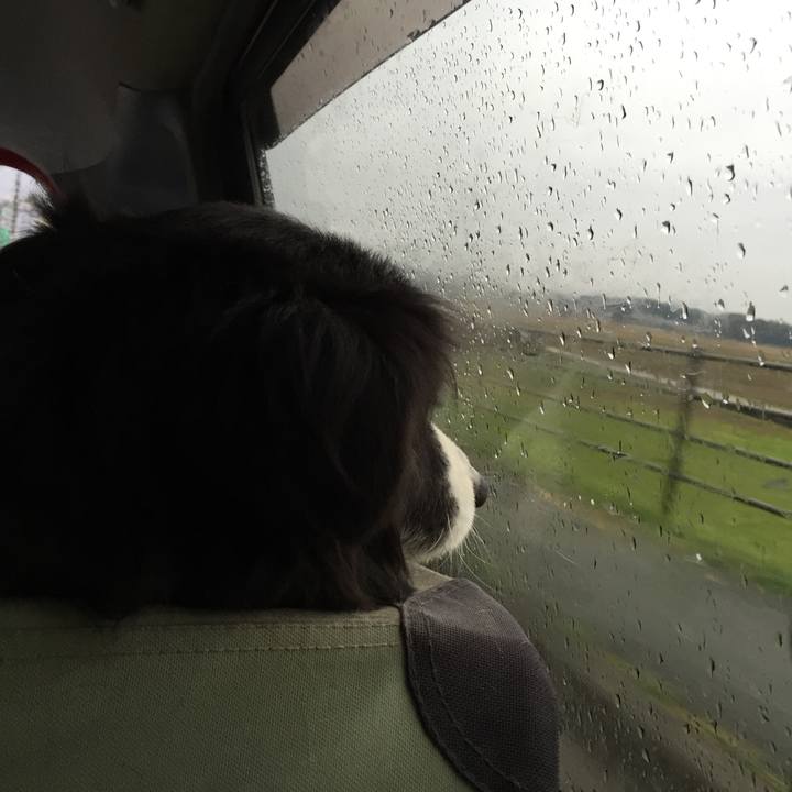 F0d952c0 7262 4617 9b9e a301242b3f09 1541981388452