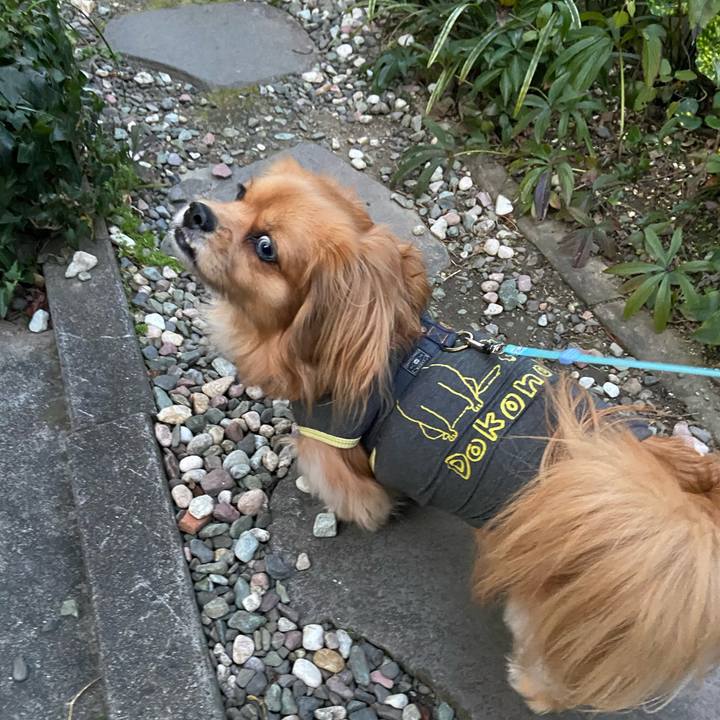 F0d96caa 800e 44be b8ab 5bcf8707047e 1581026755600