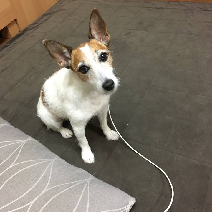 F0d9bed1 8d4d 4af9 9830 813dc85c8ad4 1629242931942