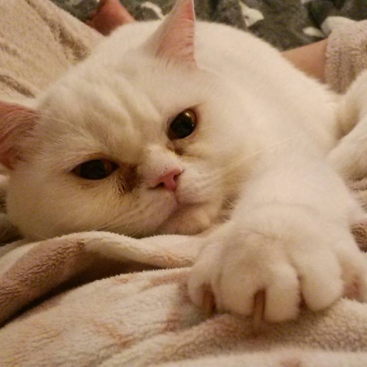 F0d9dc6f 3d0e 4e42 9481 2529e421973c 1514082953626