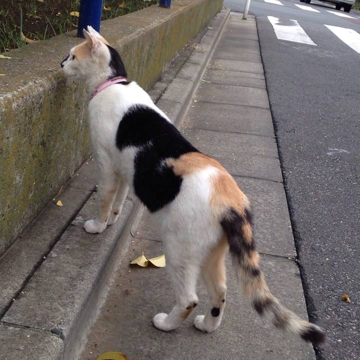 F0d9e3ed 4db9 4450 979e 7d2e00616ce2 1514180835964