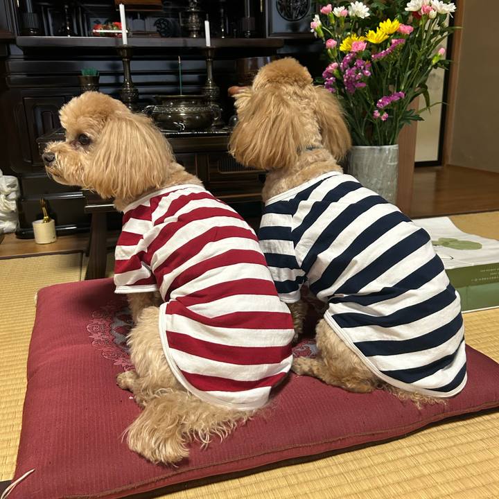 F0da042e 309f 496c 9386 260fd7e15177 1710761231372