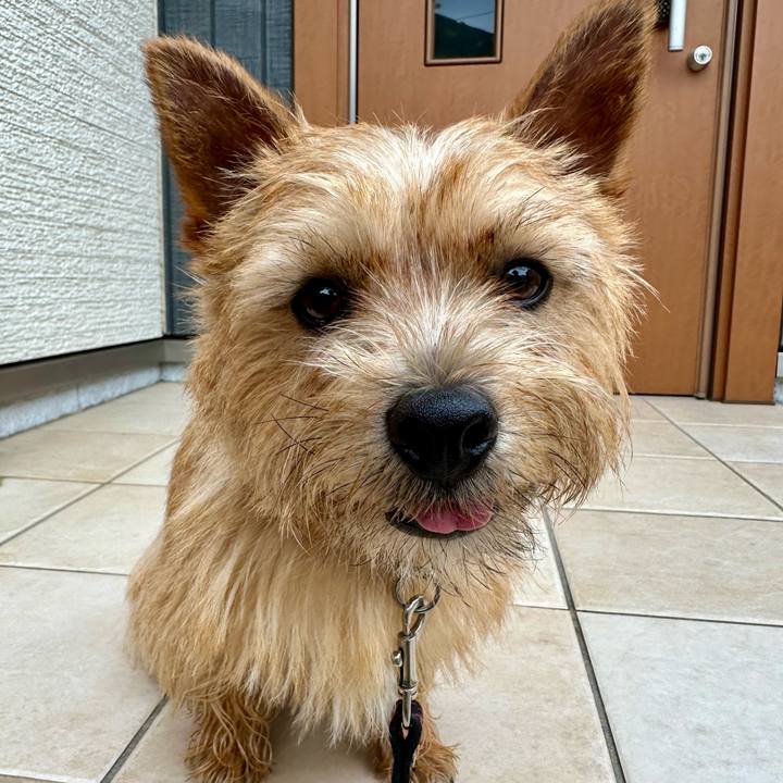 F0da0a1f 15ed 4f9f 9c6d ad1131bbb7b8 1749362692966