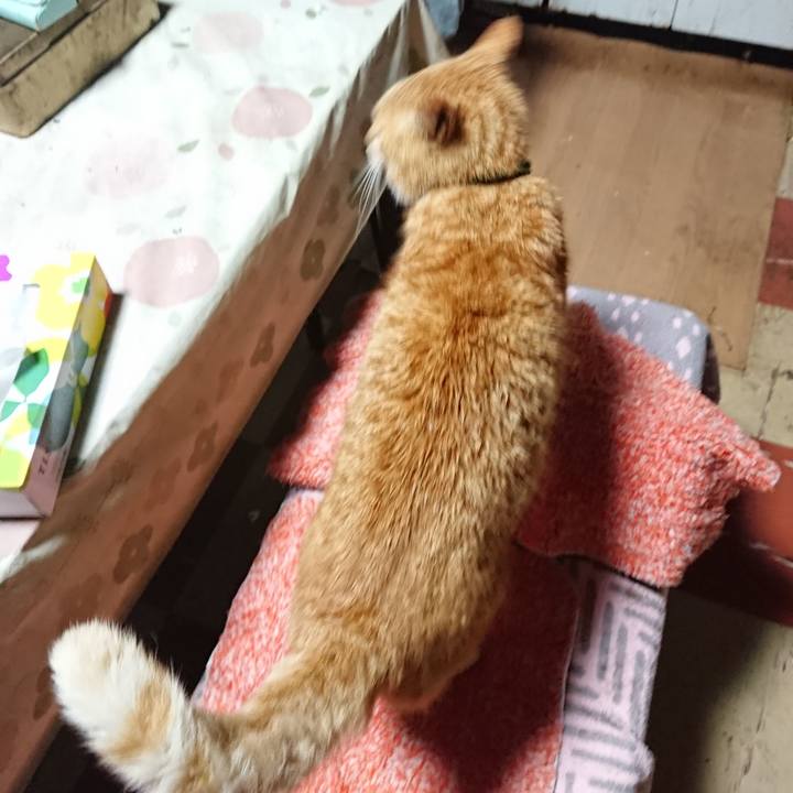 F0da3d4e 44ab 4647 a23d 1fa9a893f8ca 1584651191609