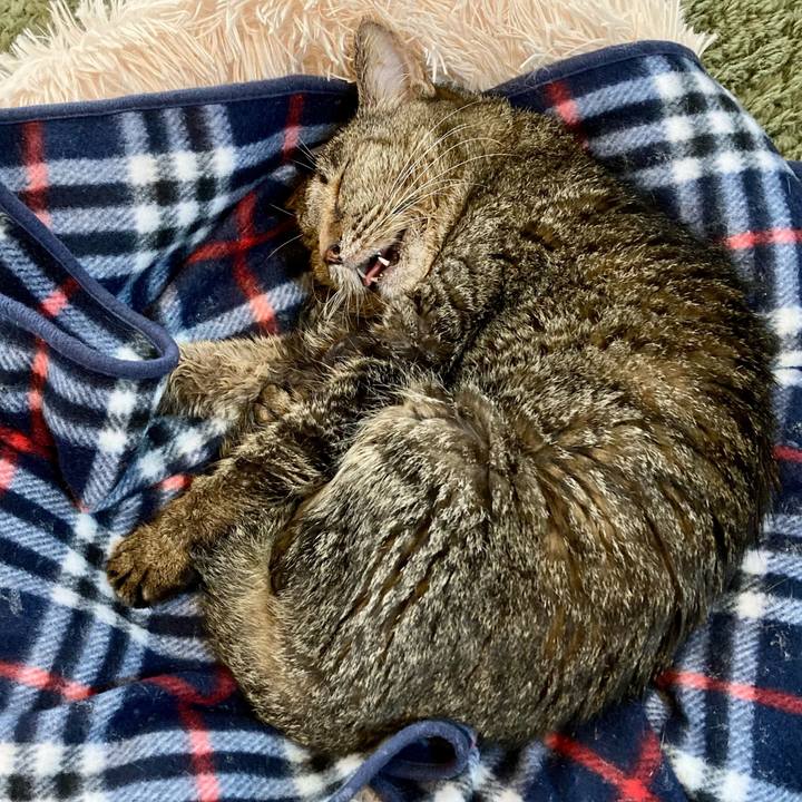 F0dadac9 3a91 4e6c b8e8 d1639cee7197 1687697353184