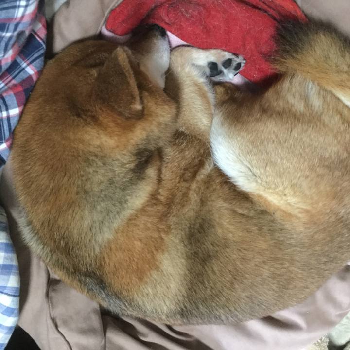 F0db0e93 7b6c 48ff 93a6 7702bcf13f8f 1557014218605