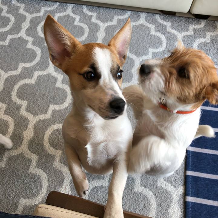 F0db49ad fac3 4632 b797 f65bf31868a2 1553336033656